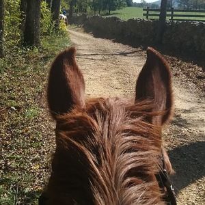 Meet your Posher, Kim